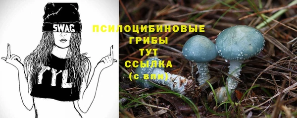 бутират Алексин