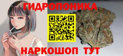 mdpv Гусиноозёрск