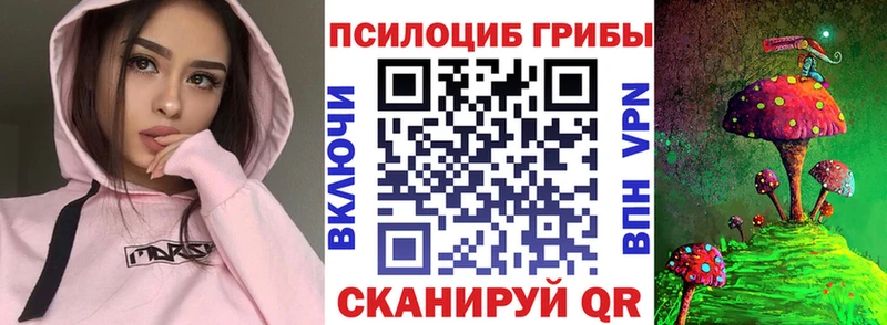 Псилоцибиновые грибы MAGIC MUSHROOMS  где можно купить   Удомля 