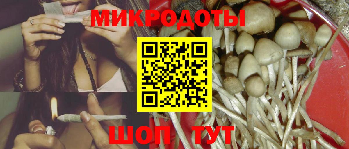 Удомля  Псилоцибиновые грибы GOLDEN TEACHER  Вход с VPN 